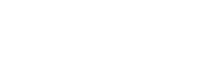 Disruptia